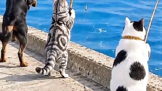 Fishing competition