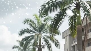 Snow in Enugu