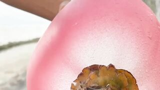 the prettiest coconut cutting skills ASMR