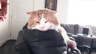 Embarrassed
