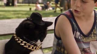 Never Ask a cat "Who Are You"?