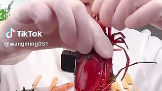 Food delicious 7