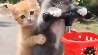 While on the road, I was stopped by a robber