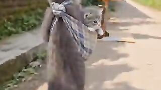 Carried away by a flying balloon