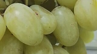 Delicious grapes 3