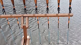 Fishing 82