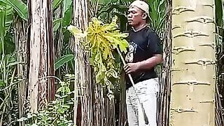 Funny videos