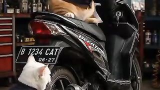 Bike shop