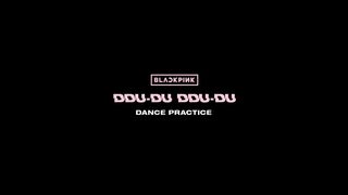 Blackpink 12