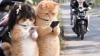 Oyen and his girlfriend were robbed