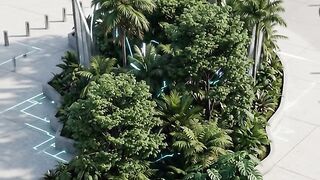 The transformation of a forest in the heart of a majestic city Part 5
