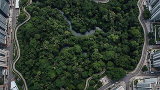 The transformation of a forest in the heart of a majestic city Part 6