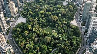 The transformation of a forest in the heart of a majestic city Part 10