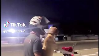 Funny video