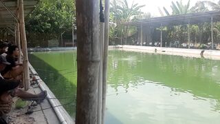 Fishing 83