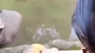 Funny videos
