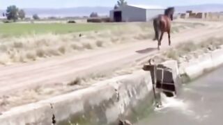 Deus no controle 2