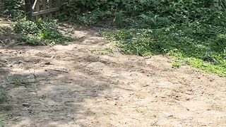 Débito encontrei água de mina no meio do caminho caminhando na roça