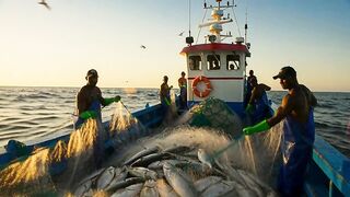 pesca em alto mar