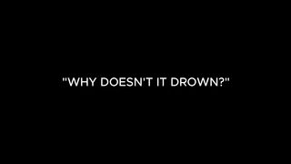 "WHY DOESN'T IT DROWN?"