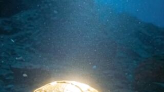 GOLDEN ORB ON THE SEA