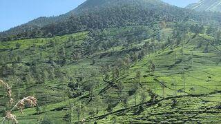 traveling indonesia