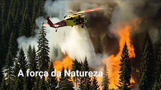 Natureza 29