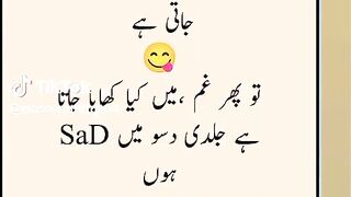 Waseem tariq 4