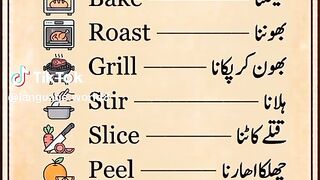 language wortd
