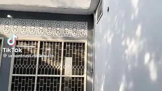 urbantrust realestate