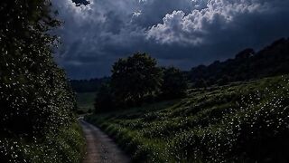 Langit malam