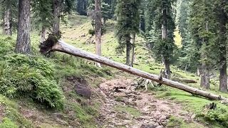 Hiking 6