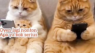 Oyen and his wife are focused on looking at their cellphones