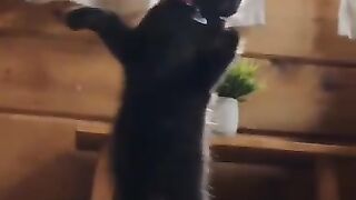Fainted by falling flower pot