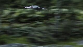 McLaren 2