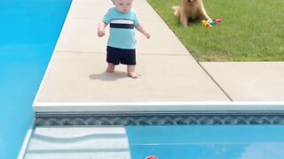 CACHORRO SALVOL A CRIANÇA
