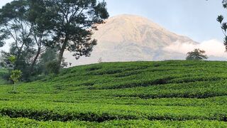 Mount Landscape