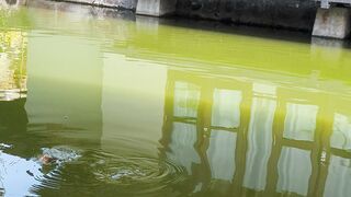 Fishing 85