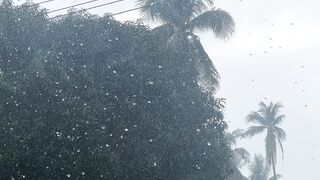 Hujan kuat angin hujan kuat