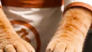 #ShortDramaMovies #ShortMovies #ShortDrama #CEO #cat #AI