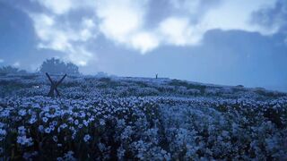 Flower 60