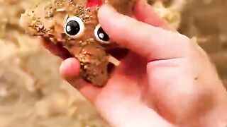She Thought She Stepped on Dad… But Look! 😱⭐ #usa #shorts