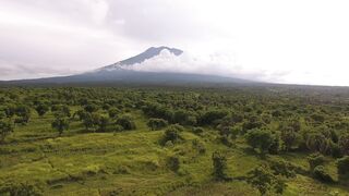 Africa-Java baluran