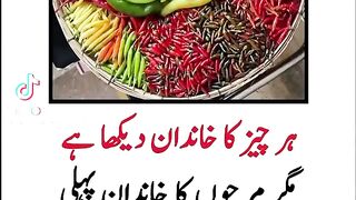 marchun ka khandan