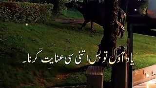 Sheraz Faraz