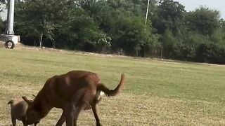 Funny moment 140