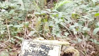 Discovering The Provincial Border