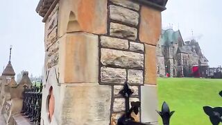 A Walk Through a Beautiful European Castle 🏰✨