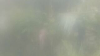 Pemandangan kebun kita