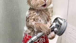 Shower funny bunny  🐇